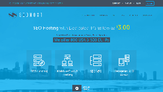 SEO Hosting Reviews - SEOHost.net (2023)